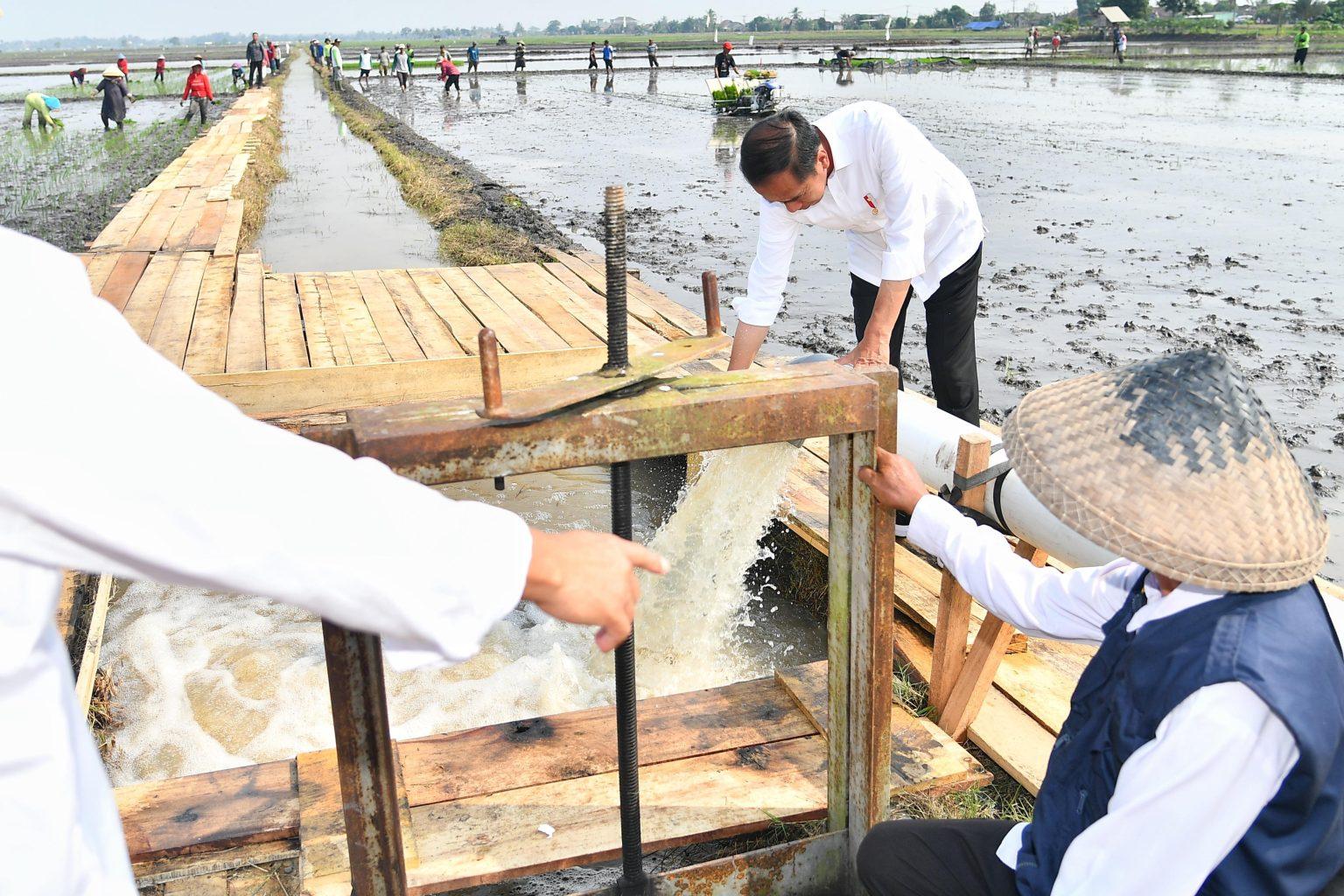 Pompanisasi Pemerintah Bukan Solusi Kekeringan, Hanya Temporer