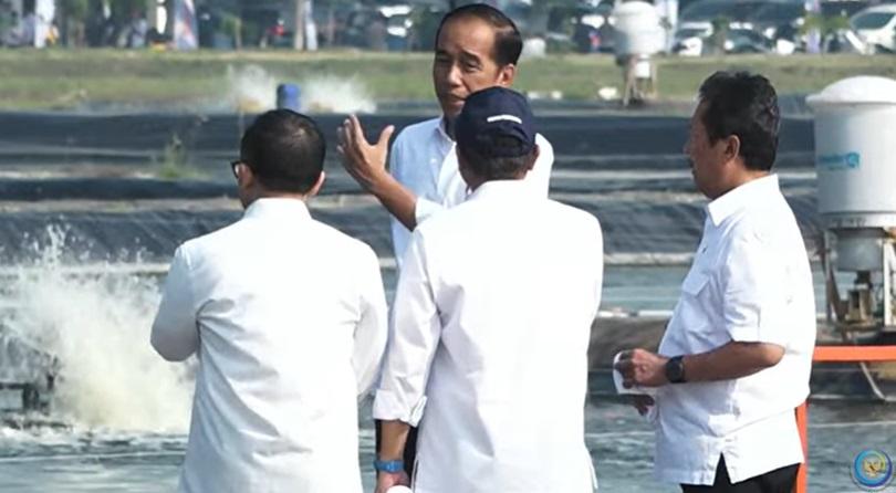 Presiden Jokowi resmikan modeling tambak budi daya ikan nila salin