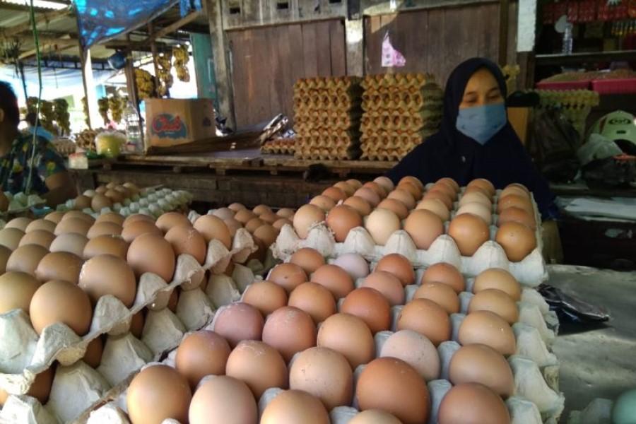 Bapanas: Harga Jagung, Garam, Telur Ayam dan Beras, Naik 10 Persen Lebih