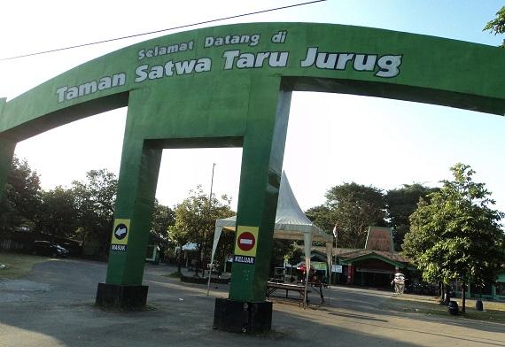 Taman Satwa Taru Jurug (Foto: Yudha Satriawan KBR) 