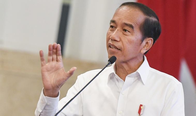 Jokowi: Swasembada Pangan Butuh Proses Panjang