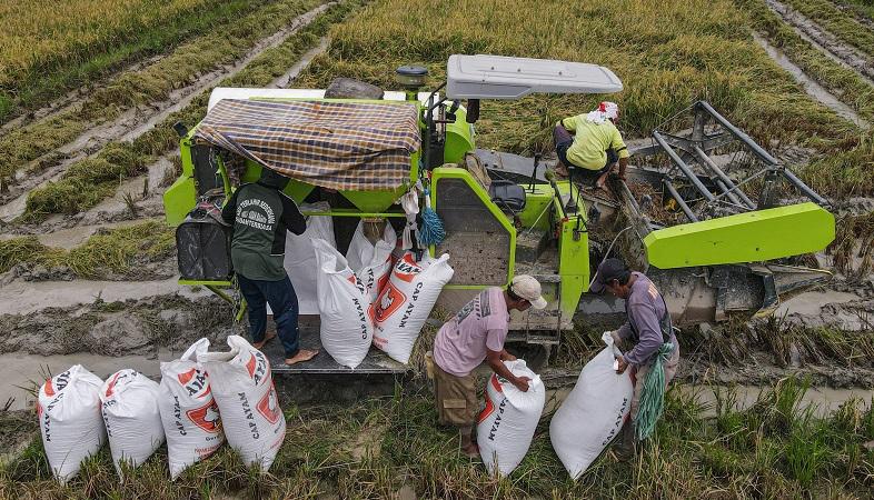 Kementan Ungkap Penyebab Turunnya Produksi Beras