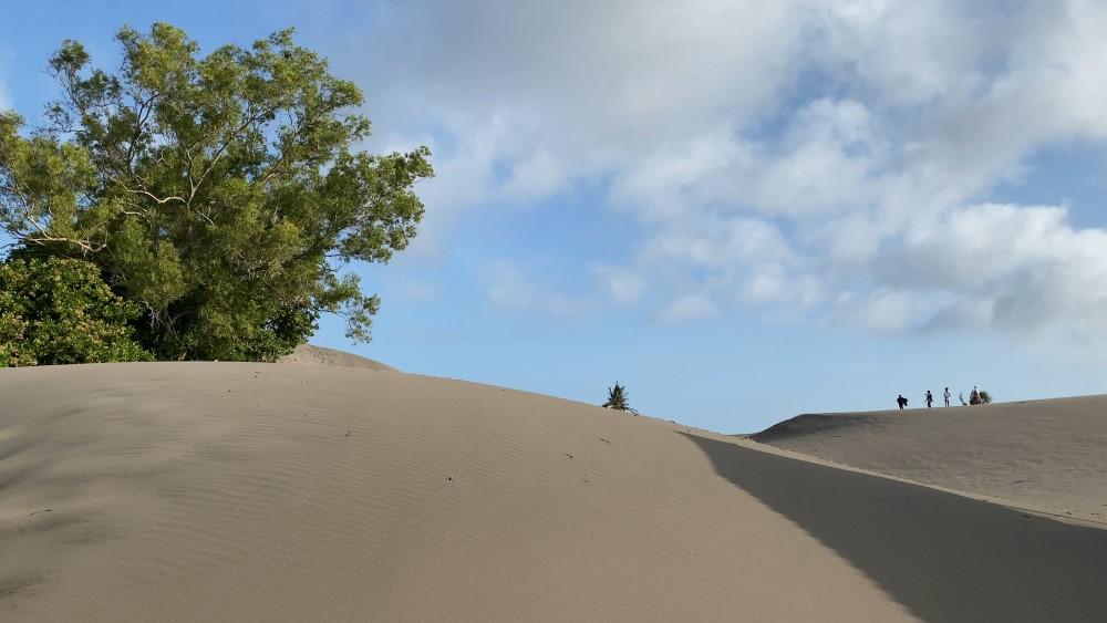 Gumuk Pasir Pantai Parangtritis Terus Menyusut