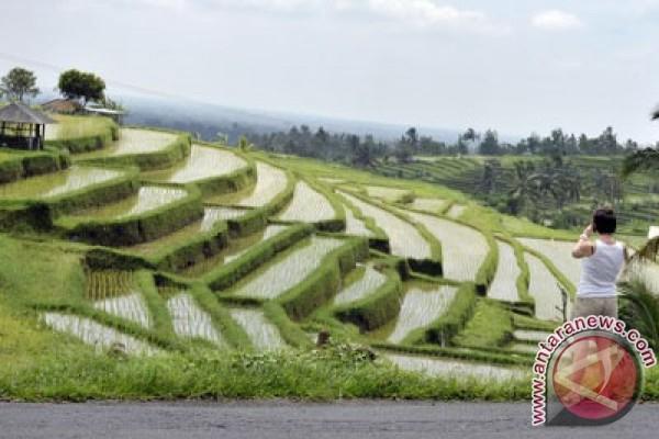 Cegah Alih Fungsi Lahan, Pemprov Bali Bentuk Majelis Utama Subak