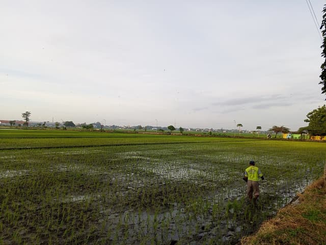 Benahi Data, Benahi Tata Kelola Pupuk Subsidi