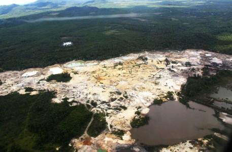 Geenpeace: East Asia Mining Dibalik Rencana Alih Fungsi Hutan Lindung Aceh