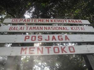 Dusun Kabo Jaya Berpotensi Jadi Daerah Ekowisata