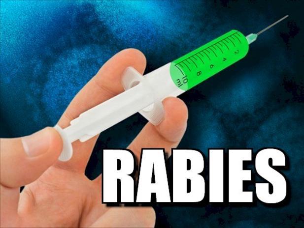 Dinas Pertanian Pariaman Gelar Rakor tentang Rabies
