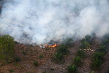 Polisi Masih Jaga Area Lahan Bekas Terbakar di Riau
