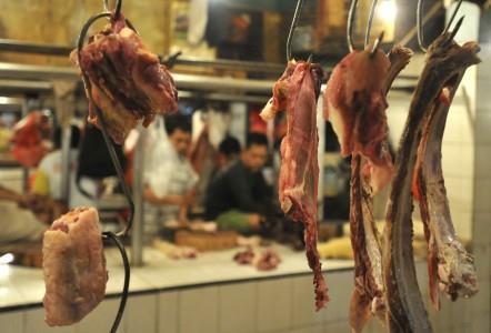 Peternak: Stabilitas Stok Daging Jauh Lebih Penting daripada Impor