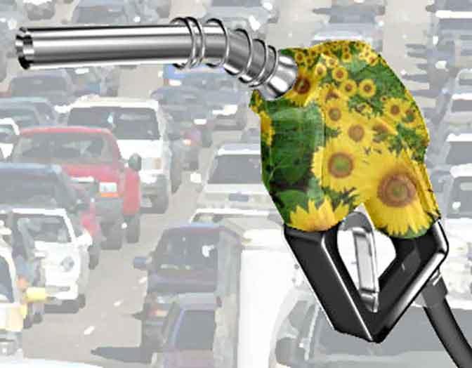 Pengusaha Siap Pasok Biodiesel untuk Pertamina