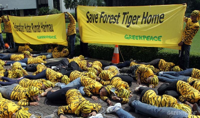 Oreo, Gillette dan Clearasil Ikut Mendorong Kepunahan Harimau Sumatera