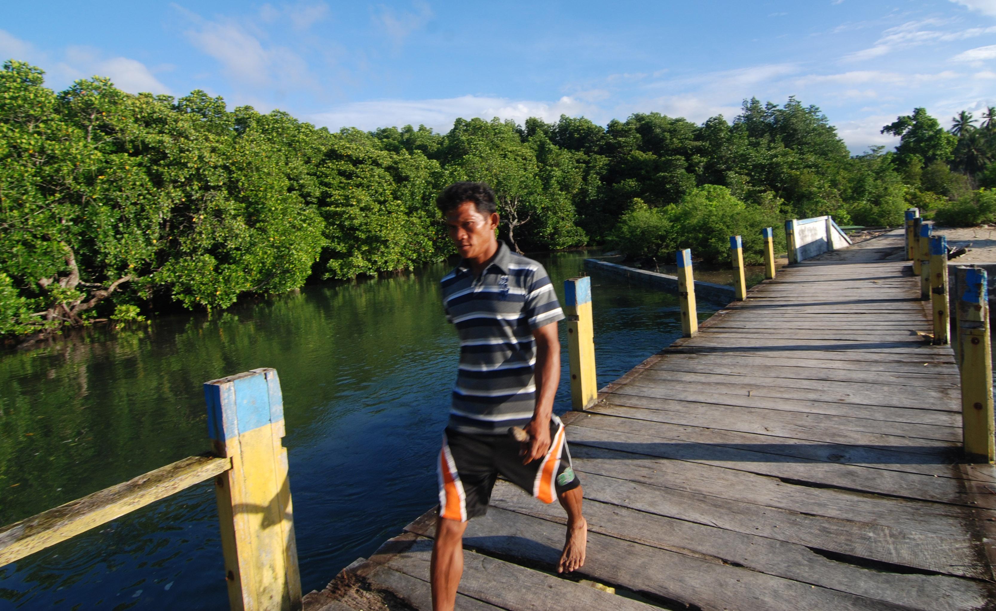 Janji  Pemkab Yapen soal Kelestarian Hutan Mangrove