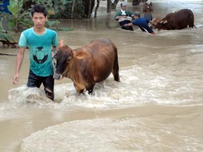 Masih Terisolir, PMI Kirim Bantuan Untuk Korban Banjir di Pati