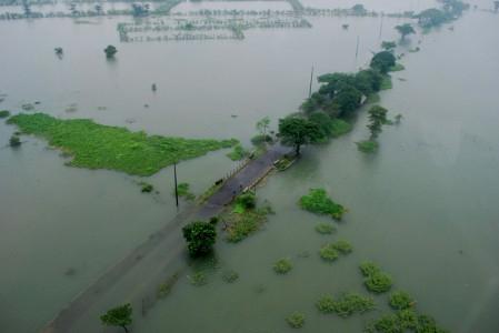 Petani di Pati Gagal Panen Karena Padi Terendam Banjir