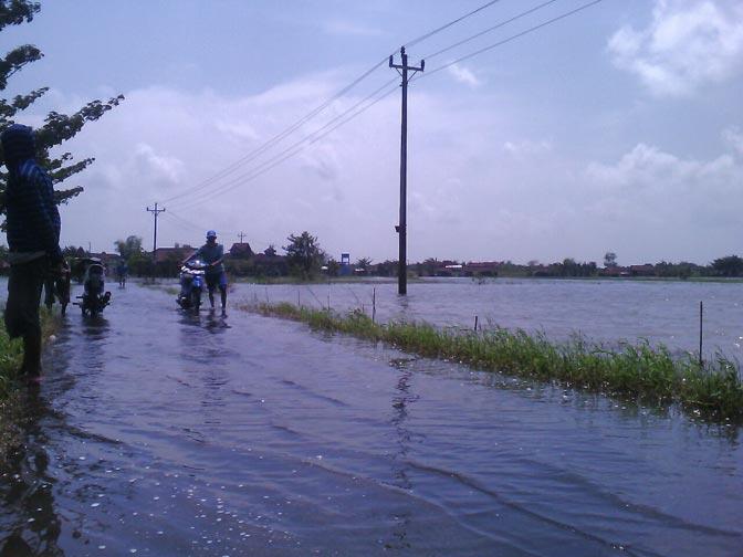 Terendam Banjir Sepekan, Ribuan Hektar Sawah di Kudus Gagal Panen