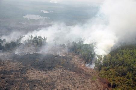 Kebakaran Hutan Riau, 100 KK Direlokasi