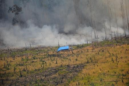 Total, 28 Orang Menjadi Tersangka Kebakaran Hutan Riau
