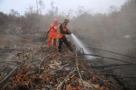 Satgas Periksa 64 Tersangka Pembakar Lahan di Riau
