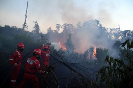 Titik Api di Riau Bertambah