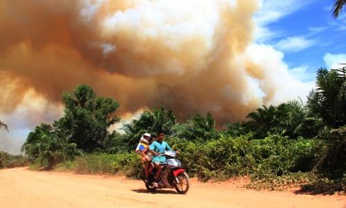 Dinas Kehutanan Riau Kewalahan Atasi Kebakaran Hutan