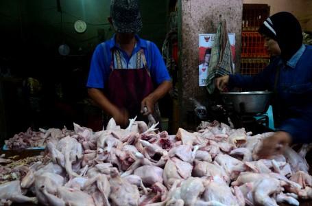 Harga Ayam di Pasar Indung Banyuwangi Merangkak Naik