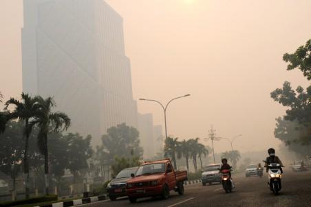 Walhi: Sidang Gugatan Kebakaran Hutan Riau Berjalan Lambat