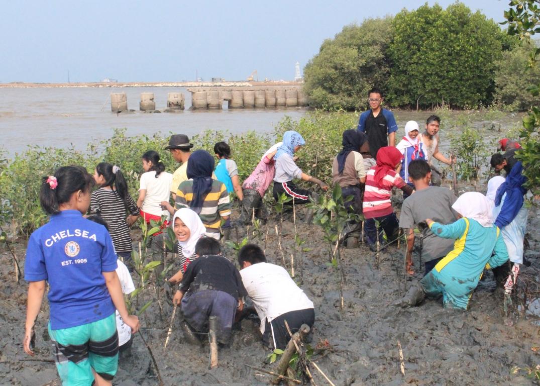 Selamatkan Lingkungan Pesisir Cirebon, Ratusan Pecinta Lingkungan Tanam Mangrove