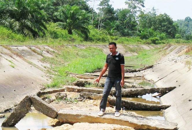 Bendungan Ambruk, Ribuan Hektar Sawah di Aceh Utara Terancam Kekeringan
