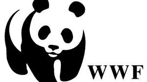 WWF Indonesia: Hasil Hutan Non Kayu Masih Dikuasai Tengkulak
