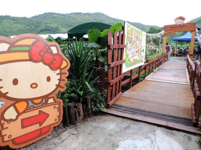 Ada Pertanian Hello Kitty di Hongkong