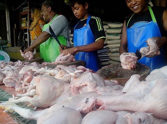 Pasokan Ayam Bogor Berkurang 75 Persen