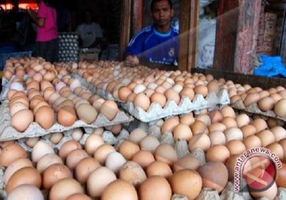 Hari Pertama Puasa, Harga Telur di Banyuwangi Naik