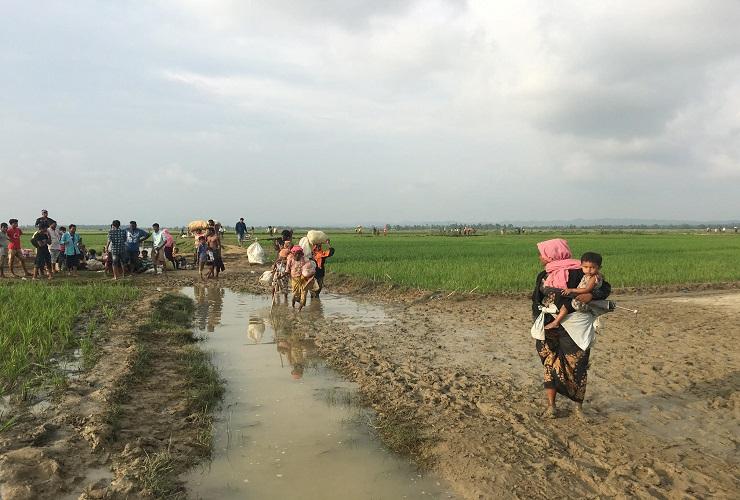 Pengungsi Rohingya yang melarikan diri dari Negara Bagian Rakhine menuju Bangladesh. (Foto: Shakil A