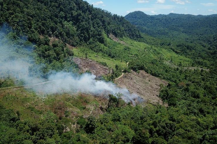Deforestasi Hutan di Aceh. (02/05/19)(Foto: Antara/Syifa Yulinnas)