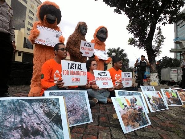 COP berdemo di depan Mabes Polri terkait orangutan yang tewas terbakar di Bontang (Foto: Gilang R