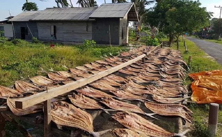 Harga Garam Mahal, Banyak Perajin Ikan Asin di Kalbar Berhenti Produksi