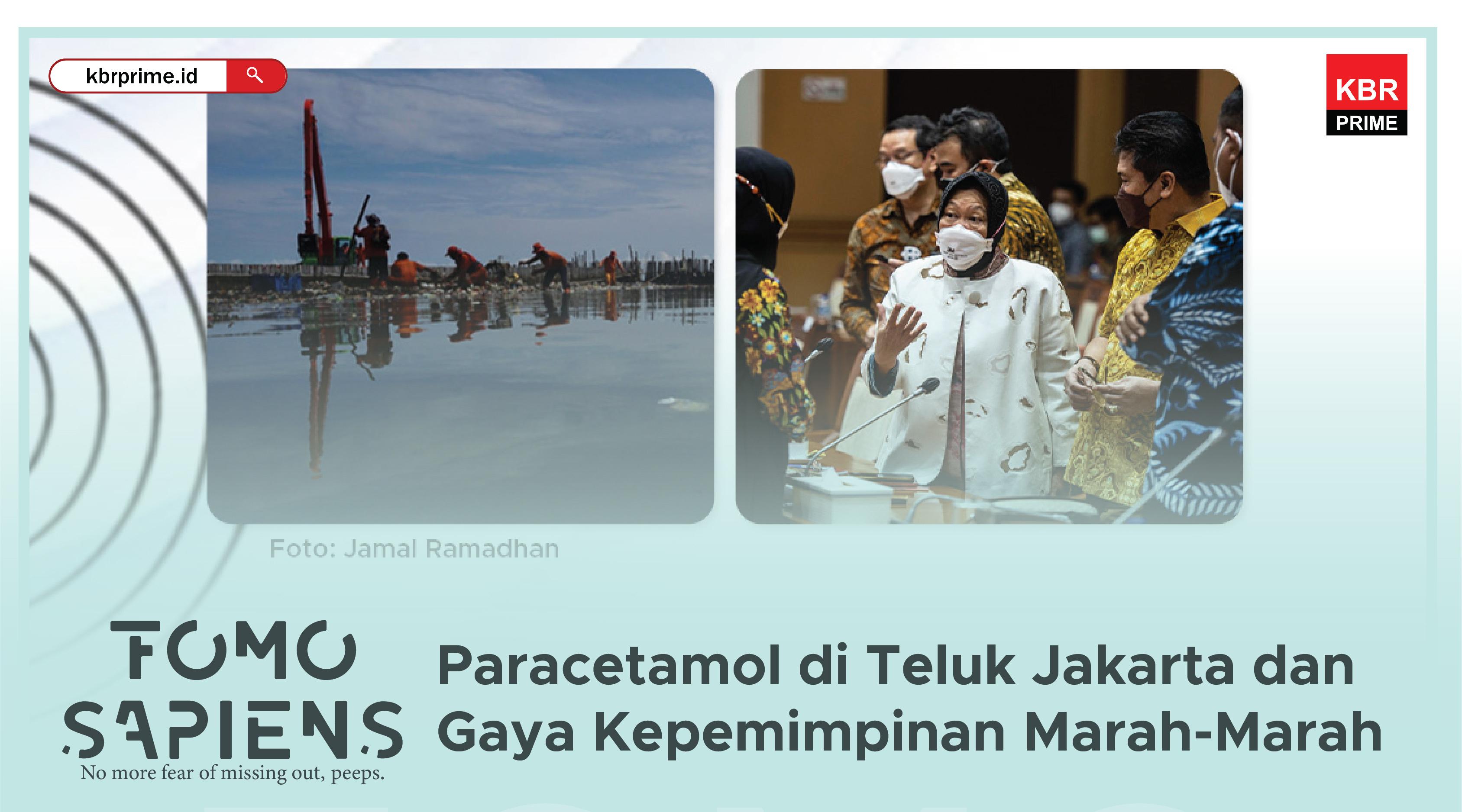 FOMO Sapiens : Paracetamol di Teluk Jakarta dan Gaya Kepemimpinan Marah-Marah