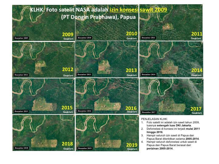 Luas deforestasi di Indonesia
