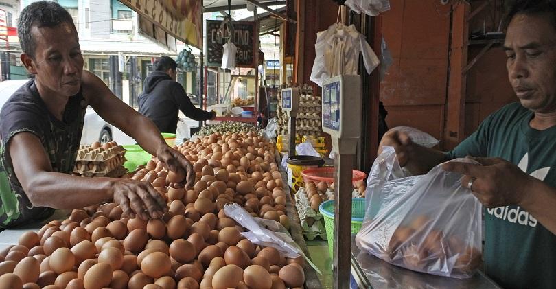 DPR Kritik Upaya Pemerintah Stabilkan Harga Telur Ayam