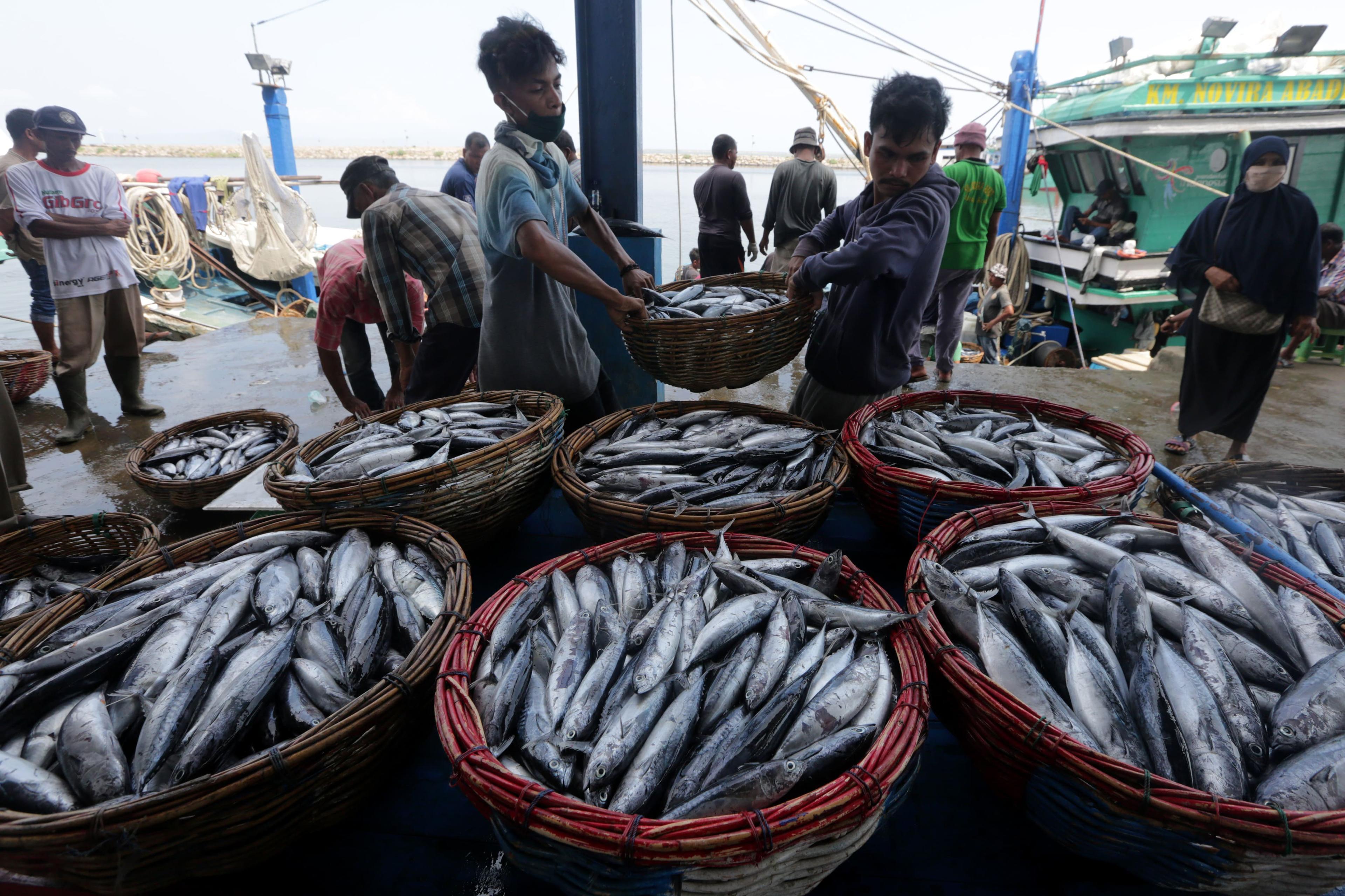 FAO: Perikanan Indonesia Stabil di Tengah Pandemi