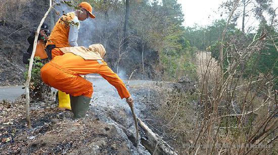 Kebakaran Gunung Ciremai, Menteri LHK Akan Panggil PT Geger Halang