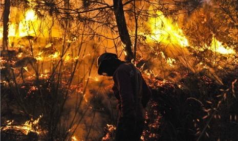 Pemerintah Targetkan Titik Kebakaran Hutan Tahun ini Turun Hampir 100 Persen