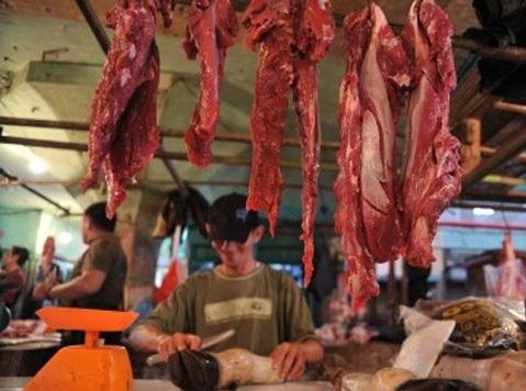 Bulog Ajukan Tambahan Impor Daging Kerbau dari India
