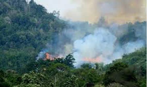 Ilustrasi. Kebakaran di Gunung Ciremai. (Foto: dishut.jabarprov.go.id)