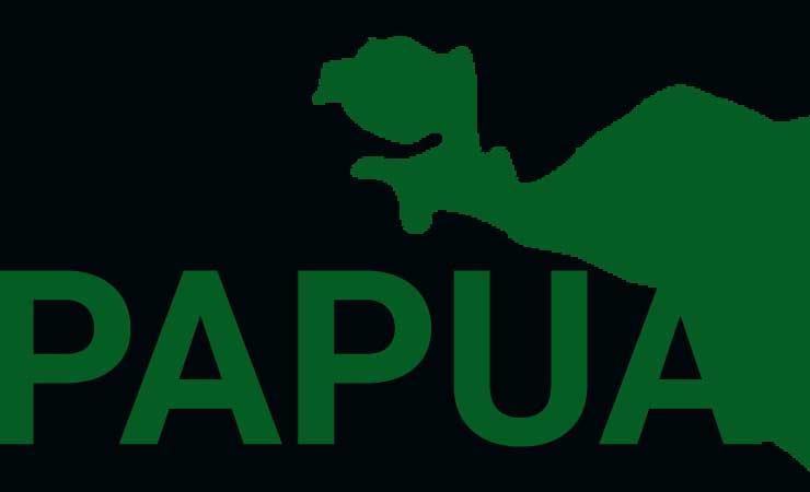 Meski Ditolak MRP, DPR Sahkan Revisi Otonomi Khusus Papua