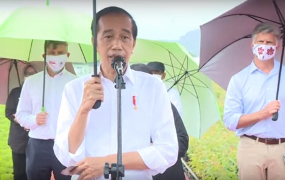 Jokowi Tinjau Persemaian Modern Rumpin