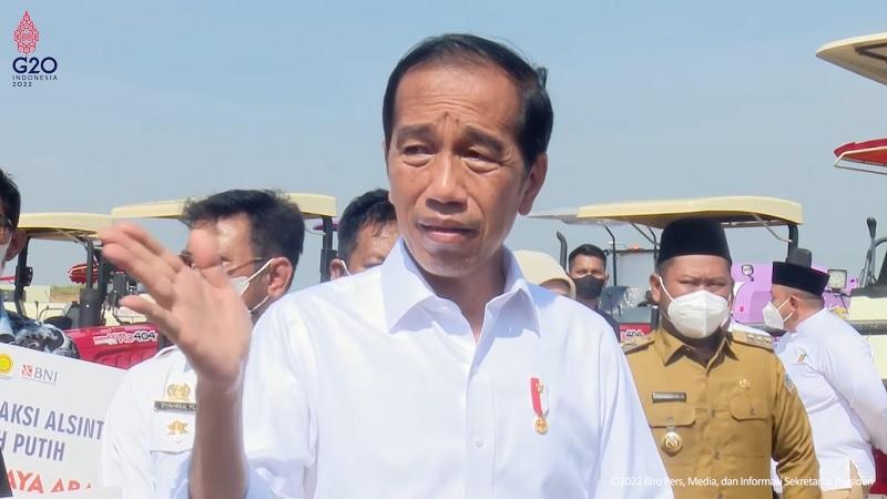 Jokowi Targetkan Lumbung Pangan Mangga di Gresik Tembus Pasar Global