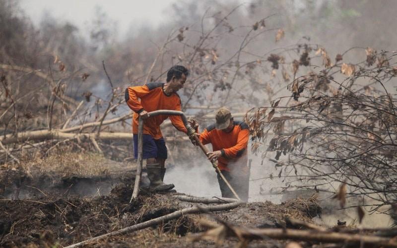 Pemerintah Tekan Kebakaran Hutan Semaksimal Mungkin