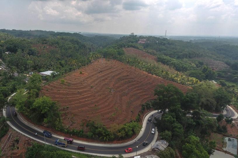 Periode Pertama Jokowi, Luas Hutan Indonesia Berkurang 2,6 Juta Hektare